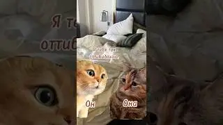 #юмор #отношения #отношениясмужчиной