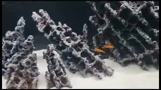 Видео от заказчика, скалы ручная работа.