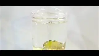 Suqueira de Acrílico 3,7L Sucos Limonada Festas Decoração