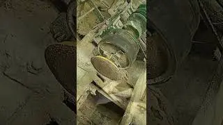Красивые рогатки