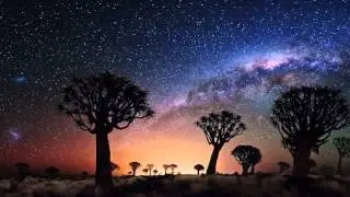 Black Bottom Lighters - Astronauts