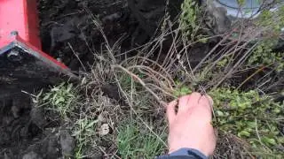Скоба для викопки саджанців СВС- 1 Плуг выкопочный навесной ВПН-2