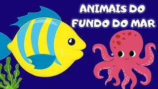 ANIMAIS DO FUNDO DO MAR em português | Imagens reais
