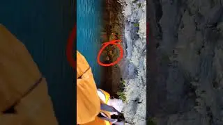 hello everyone dear subscribers please put your finger like subscribe to my channel