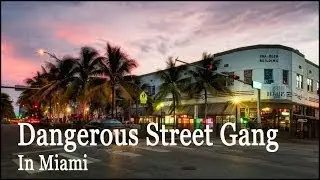 National Documentary Top Six A Dangerous Street Gang In Miami Crime