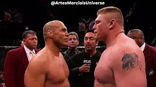 Brock Lesnar vs Randy Couture - UFC 91 Fight Highlights