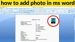 how to add photo in ms word|microsoft word photo add|ms word me biodata me photo kaise lagaye