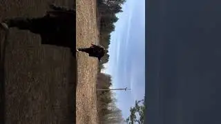 #videodiary