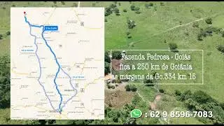 Fazenda Pedrosa