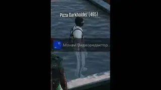 Морская черепашка))))