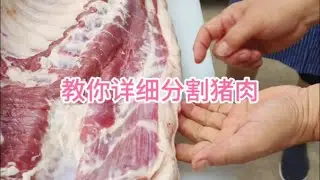 教你详细分割猪肉
