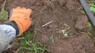Самый классный КОП этой той осени.Продолжение Этой Весной.