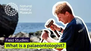 What is a palaeontologist? | Field Studies