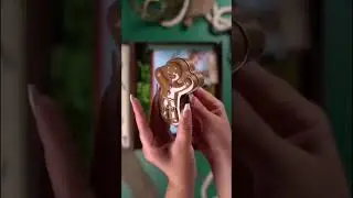 шрек и революшен/revolution /shrek