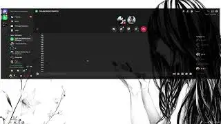 Zyn folds failing 2.1k check in 4 hours to Xordy (Discord)