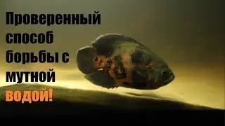 It will definitely help you! Answers to numerous questions in one video!