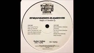 Endangered Elements - Pass It Off