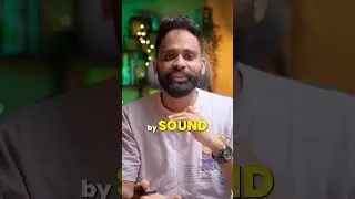 The Sound Behind the Scene