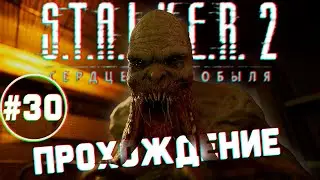 Прохождение #30 ➲ STALKER 2: Heart of Chornobyl