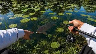 This Is How You Catch EVERY Carp! Fishing With Bread