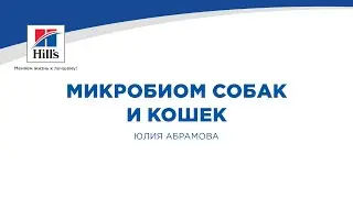 Вебинар на тему: 