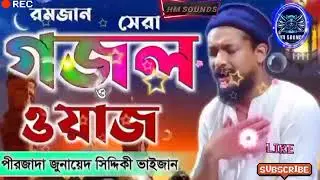 পীরজাদা জুনায়েদ সিদ্দিকী একটি বছর পরে আবার ফিরে এলো মাহে রমজান গজল  #পীরজাদা_জুনায়েদ_সিদ্দিকী