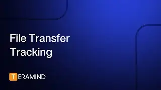 Teramind's File Transfer Tracking: Mastering Data Movement