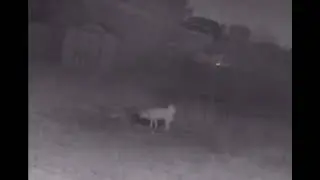 Wait, what...? #shorts #ghost #scary #creepy