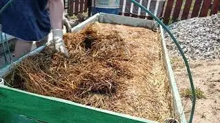 Высадила огурцы на улицу, обстановка с пожарами. Жизнь в России.