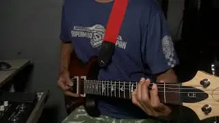 PRS CE24 limited edition nux mg 300