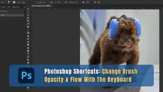 Photoshop Shortcuts: Change Brush Opacity & Flow with the Keyboard