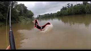 Catching A DINOSAUR From KAYAK!