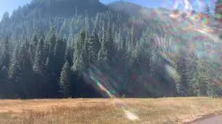 Video of Lost Prairie Group Site, OR from Laura M.