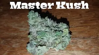 Strain Review - Master Kush
