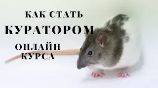 КАК СТАТЬ КУРАТОРОМ ОНЛАЙН ШКОЛЫ 📒 (куратор онлайн школы обучение)
