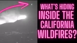 Pallisades and Eaton Fires - What's Hiding in the Flames?