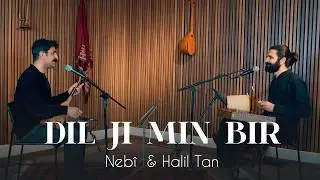 Nebî  & Halil Tan - Dil ji min bir