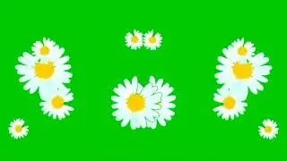 flower green screen effect|flower rain|green screen|no copyright|flower falling green screen