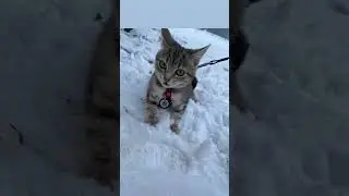 415 база,ответьте☎️