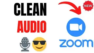 How to Turn On Noise Removal in Zoom App