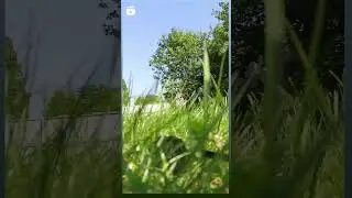 Лето❤️🤍