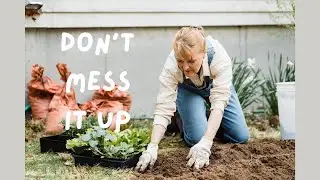 Avoid These Summer Gardening Blunders!
