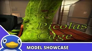 Picolas Cage (GMOD Model Showcase)