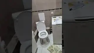 у ведьмы паспорт улетел в туалет 