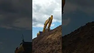 Ему снится дом родной девка с пышною п...... )))