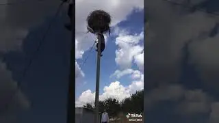 Elektrik sorunu