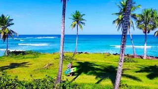ProKite Cabarete Kiteboarding School Wing School and Surf