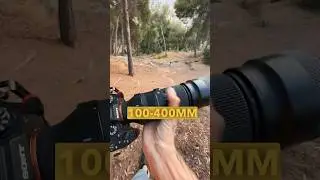 😱 Sigma 100-400mm with Sony A1 