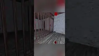Grandma Locked ME IN A CAGE.. #granny #vrhorror #funny