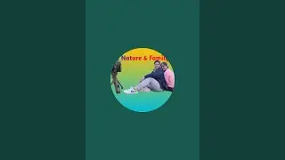 I Can Vlog Camping